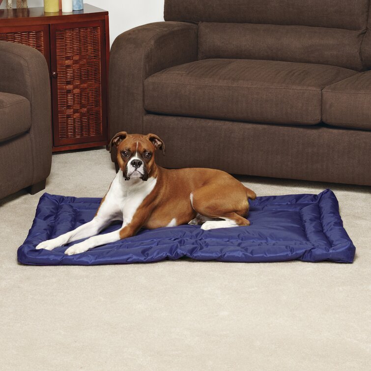 Wayfair dog clearance couch